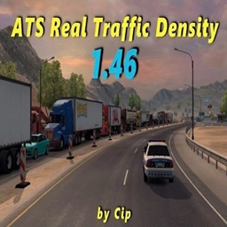 real traffic density