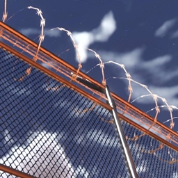 Chain Link Fence Skins