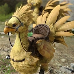 Longer Chocobo Rentals