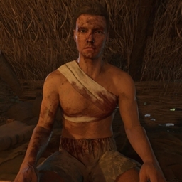 Realish Wounds