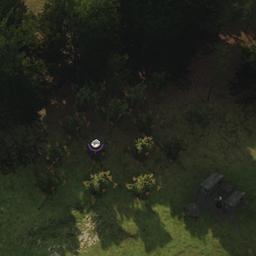 Apiary boost resource