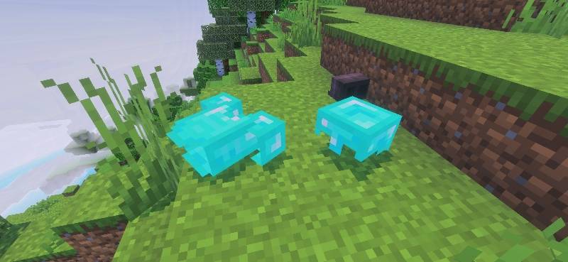 Item Physics + — изображение 2