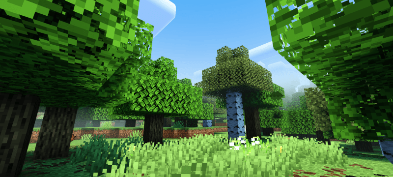 Newb Complemetary Shader | Compatible With Minecraft v26.44+ — изображение 2