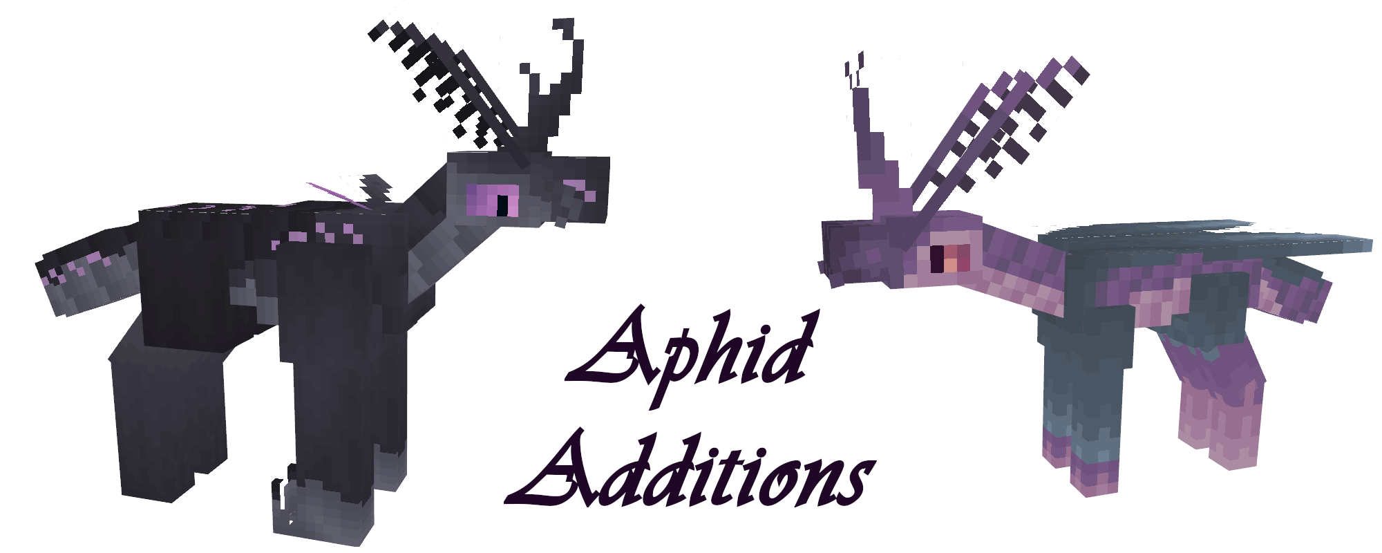 Aphid Additions — изображение 1
