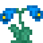 Rain Flower