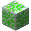 Terra Catalyst