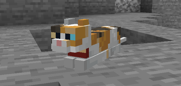 Поза кошки loaf