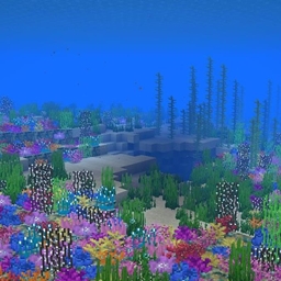 CoralReef