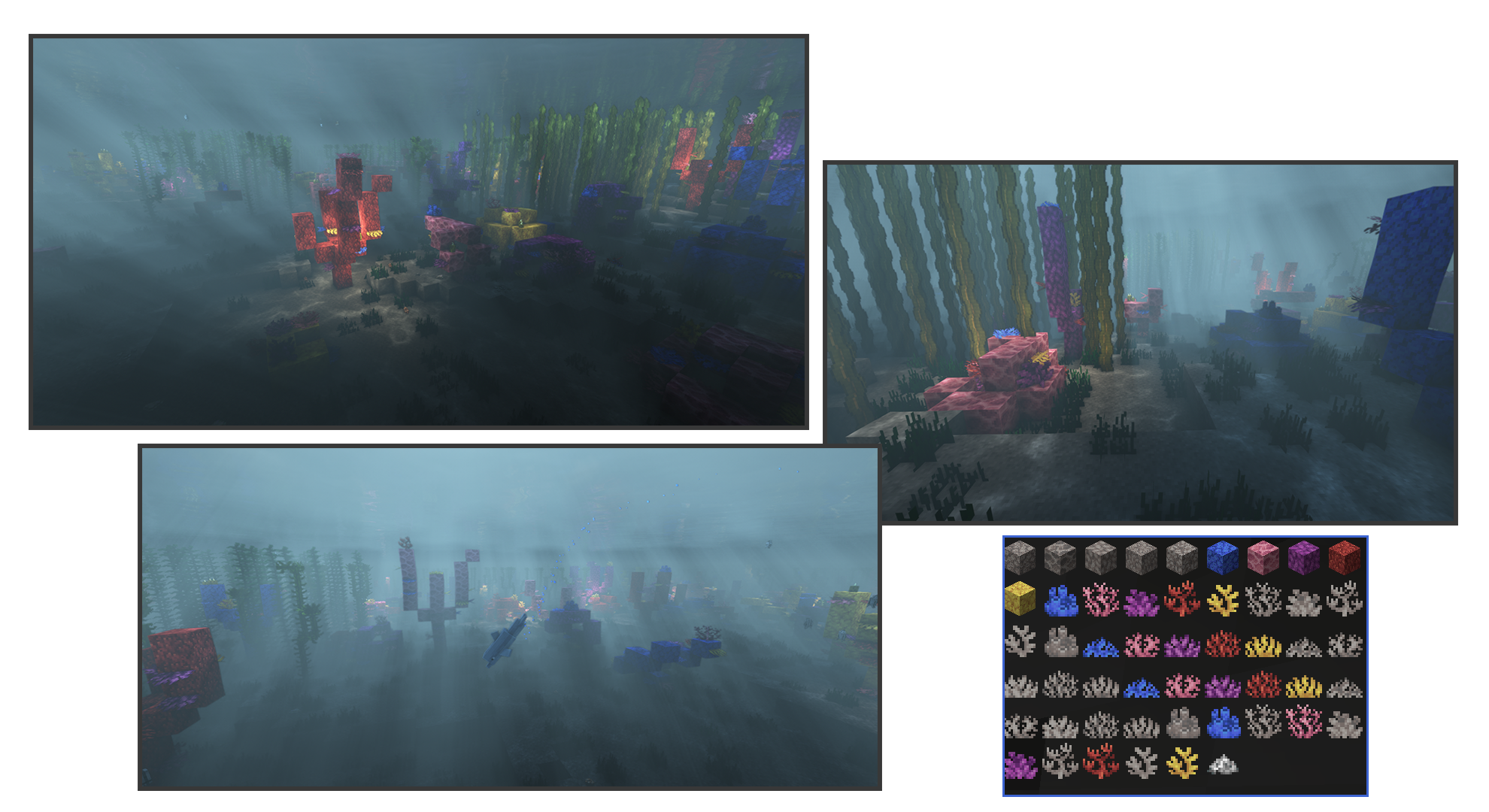 Corals TFC — изображение 1