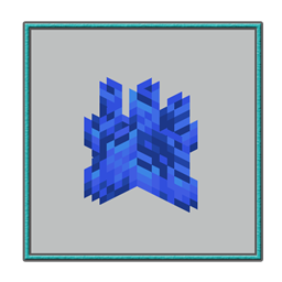 Corals TFC