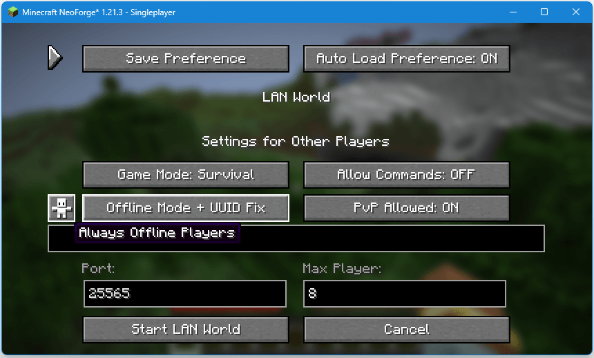 Lan Server Properties — изображение 1