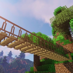 Macaw’s Bridges