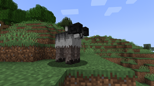Sheep Legs