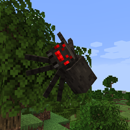 Nyf’s Spiders