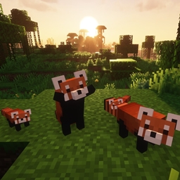YDM’s Red Panda