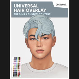 Universal Hair Overlay (UPDATE MARCH 2025)