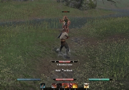 Slightly Improved Attribute Bars