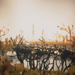 Tlou alternative opening