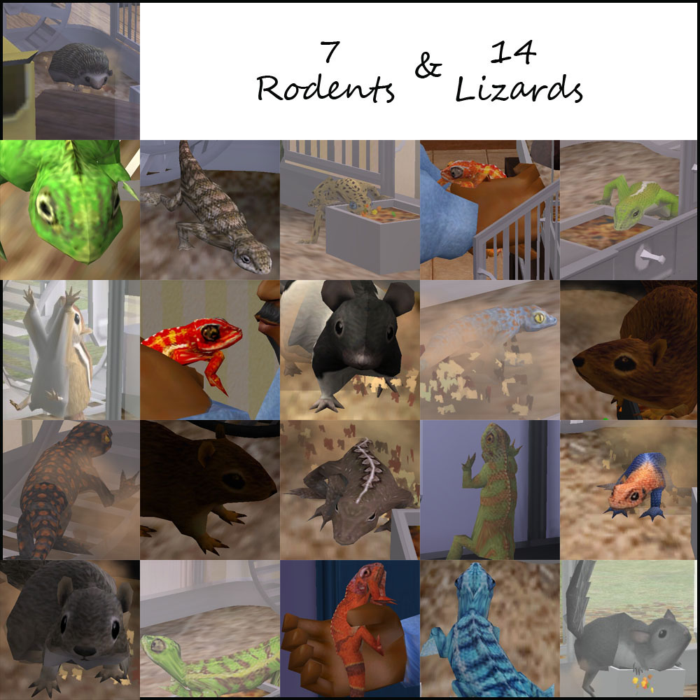 Lizards & Rodents — изображение 1