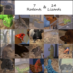 Lizards & Rodents