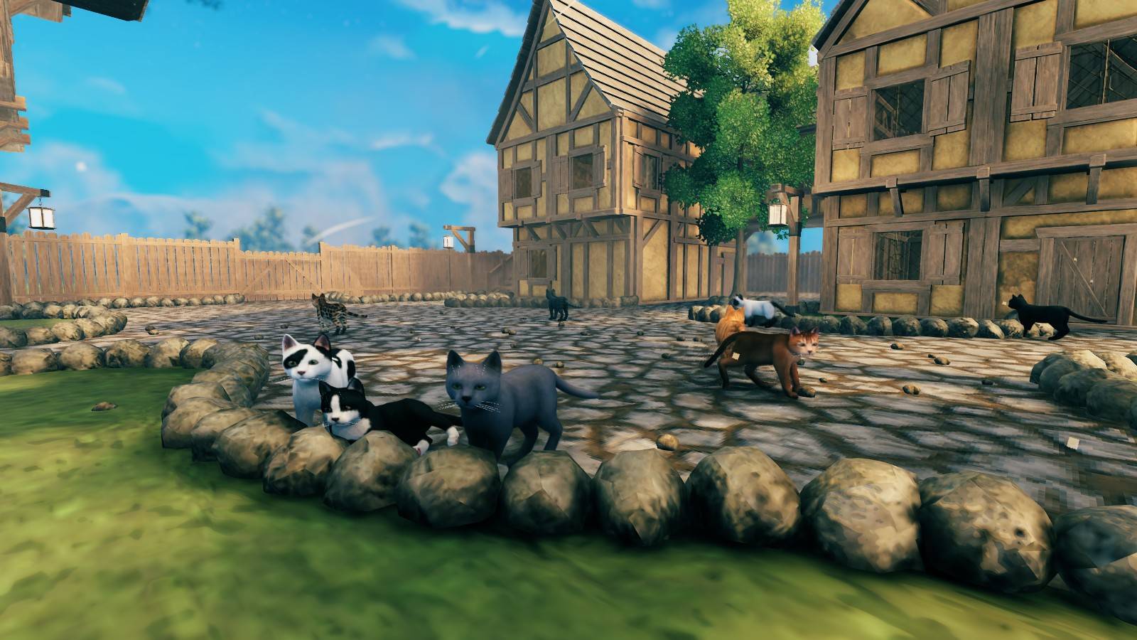 Cats — изображение 2