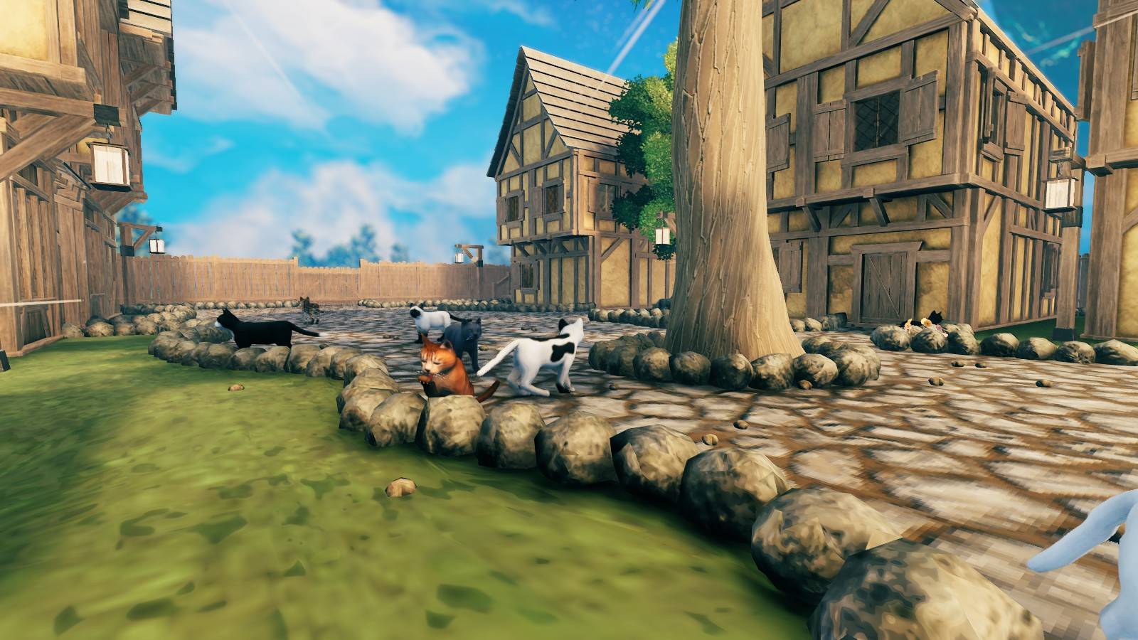 Cats — изображение 4